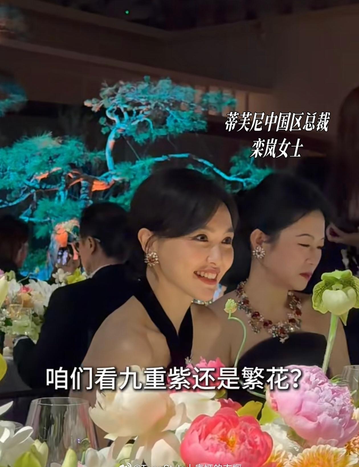 【Tiffany顶级待遇——唐嫣】1.未官宣时佩戴石上鸟胸针等多枚高珠（春晚