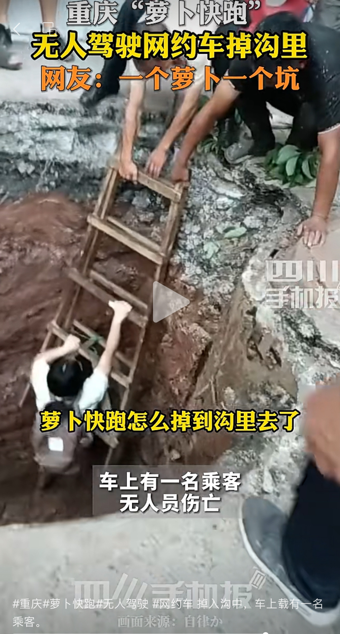一个萝卜，一个坑的真实写照​​​