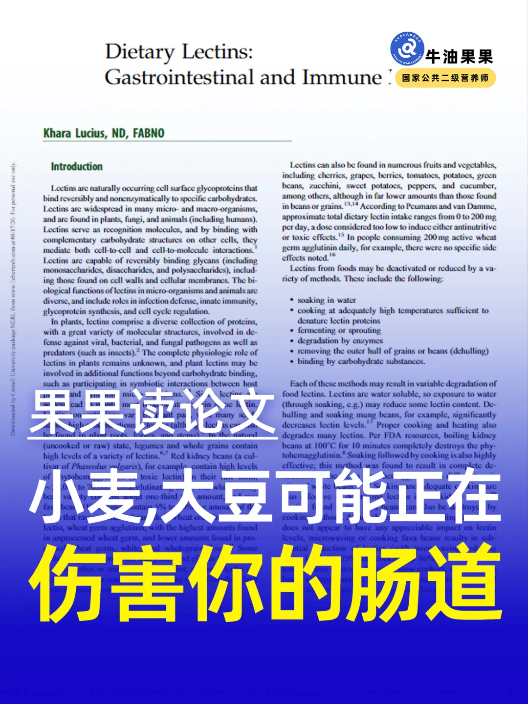 引起肠漏的“元凶”之一——植物凝集素