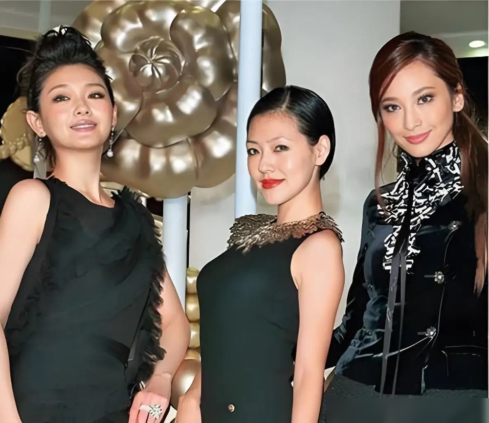 2008年金曲奖红毯，四个人一起出来，镜头一扫，全场眼睛全黏在大S身上了。那届主持是陶晶莹、侯佩岑、