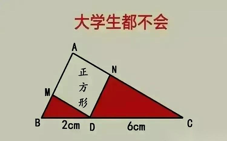 锅铲悬在半空，油烟机嗡嗡地响，但我什么都听不见。整个世界，就剩下案板上那张图。