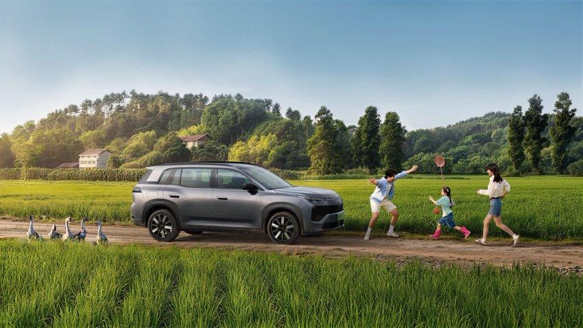有专家预测，未来中国汽车存活率：1、红旗汽车，100%存活2、比亚迪汽车10