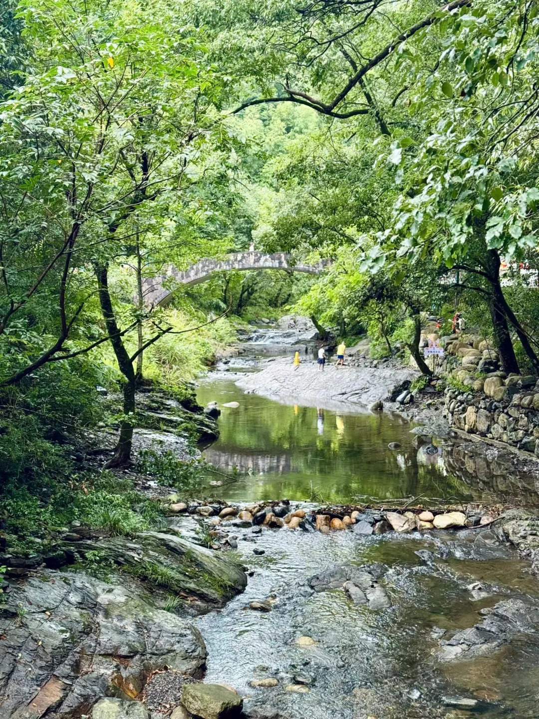 上班暂停，来山野溯溪吧
