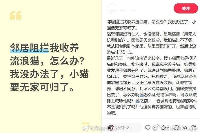 邻居阻拦收养流浪猫。？？？