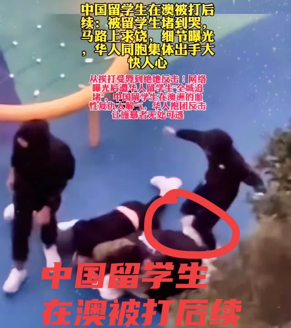 悉尼街头几个混混瘫在地上发抖​前两天他们围殴中国留学生还嬉皮笑脸，