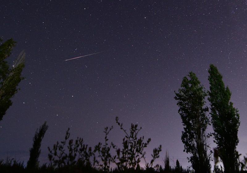 双鱼座温柔浪漫、感性爱幻想，跟有些星座相处就容易吵架。和摩羯座在一起，摩擦不断