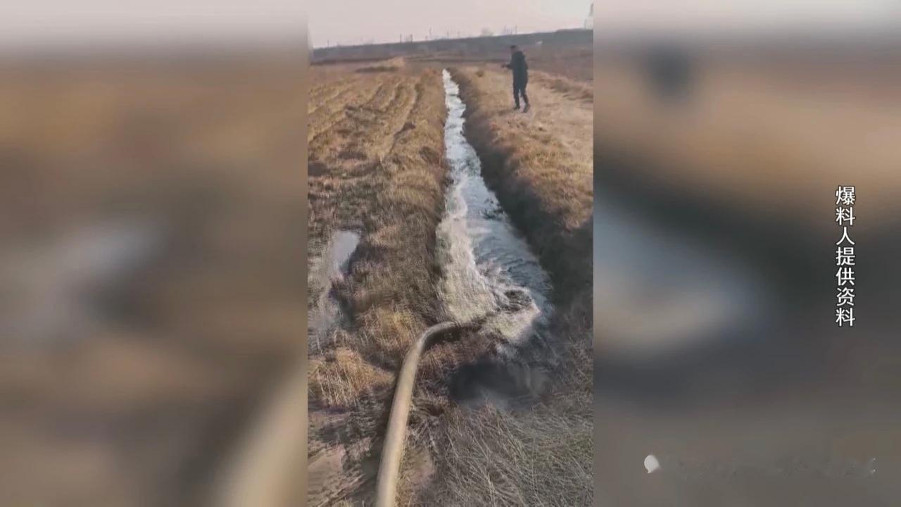 群众举报山东济宁邹城市香城镇多家养鸭场长期排放未经处理的畜禽粪水，造成严重环境污