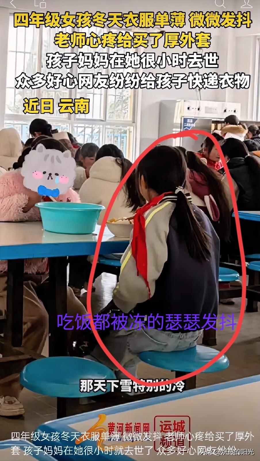 那张在食堂微微发抖的背影，真像根刺，扎人眼睛。云南的一月，湿冷得钻骨头。