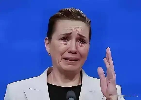 丹麦又在霍霍中国了。说咱们作为常任理事国在联大毫无作为，白占了个位子。丹麦对