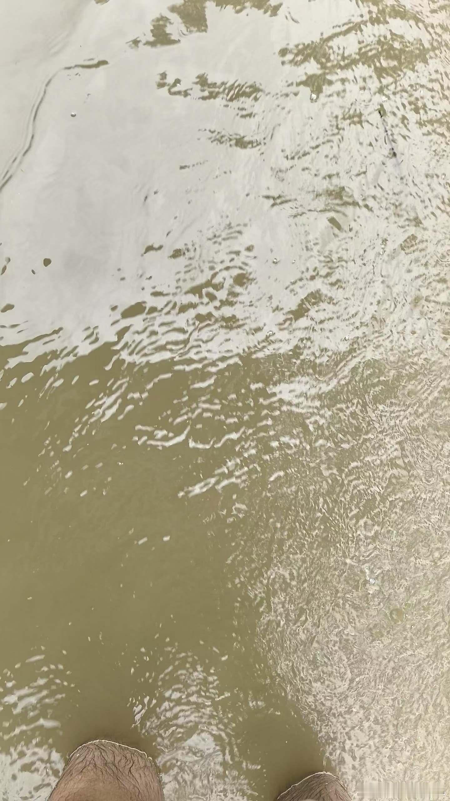 小白海豚，你的威力还蛮大的啊积水到膝盖了[捂脸哭][捂脸哭]