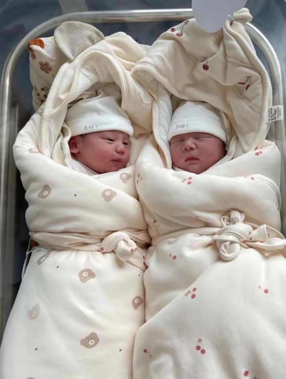 婚前算计彩礼、孕期玩消失！龙凤胎出生后男方跪求复婚，结局解气气得人发抖！一女