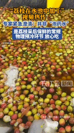 “荔枝泡水”视频疯传，工厂负责人紧急澄清！广东专家回应：系正常操作近日，一段