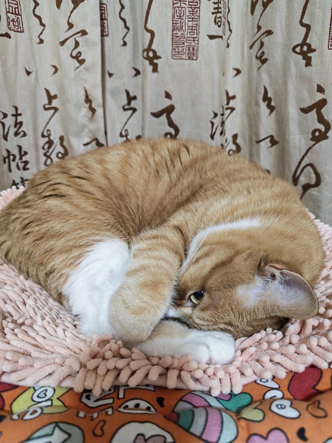 俺肚中是有墨水滴[大笑]