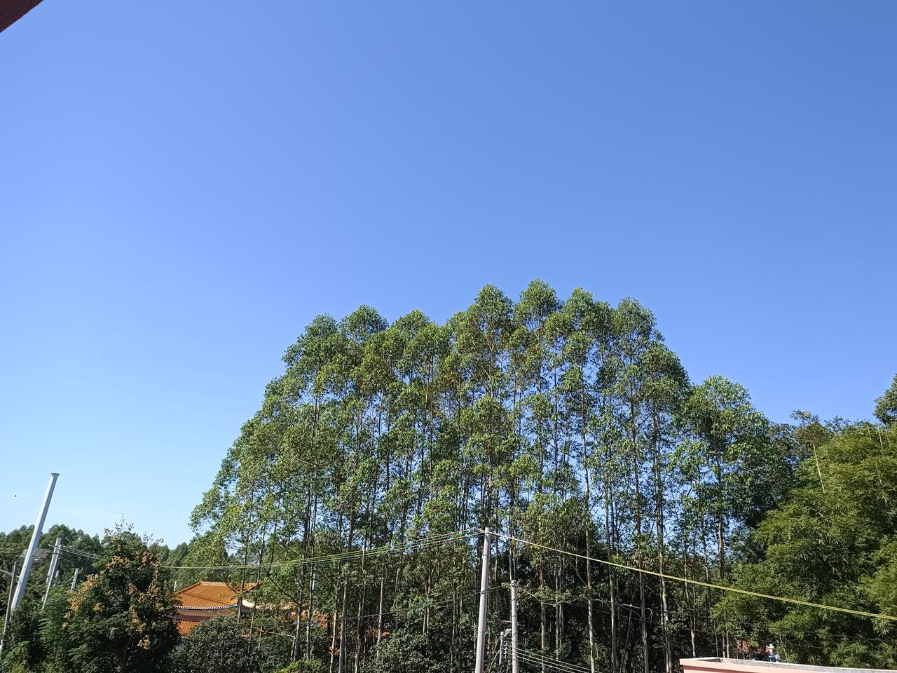 人想要长寿，核心就一句话：一定要舍得动。1. 散步，别当成硬性锻炼就当作
