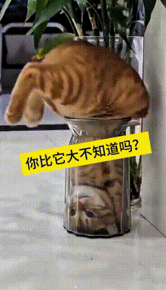 这段视频我反复看了好几遍，实在是又好笑又让人操心。这个玻璃瓶尺寸特别小，明显容纳