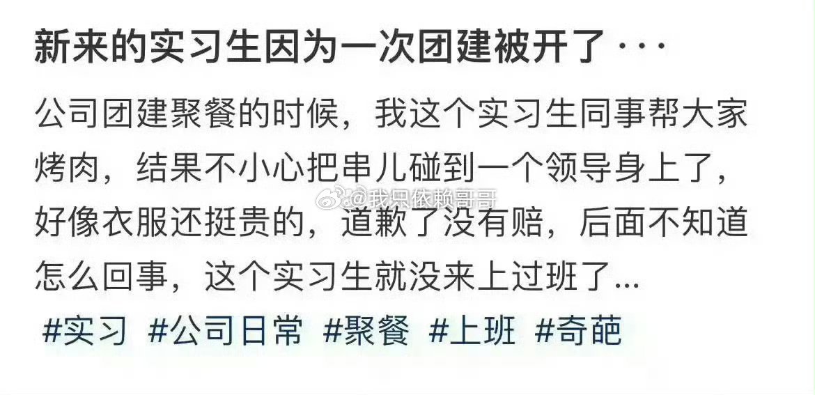 新来的实习生因为一次团建被开了