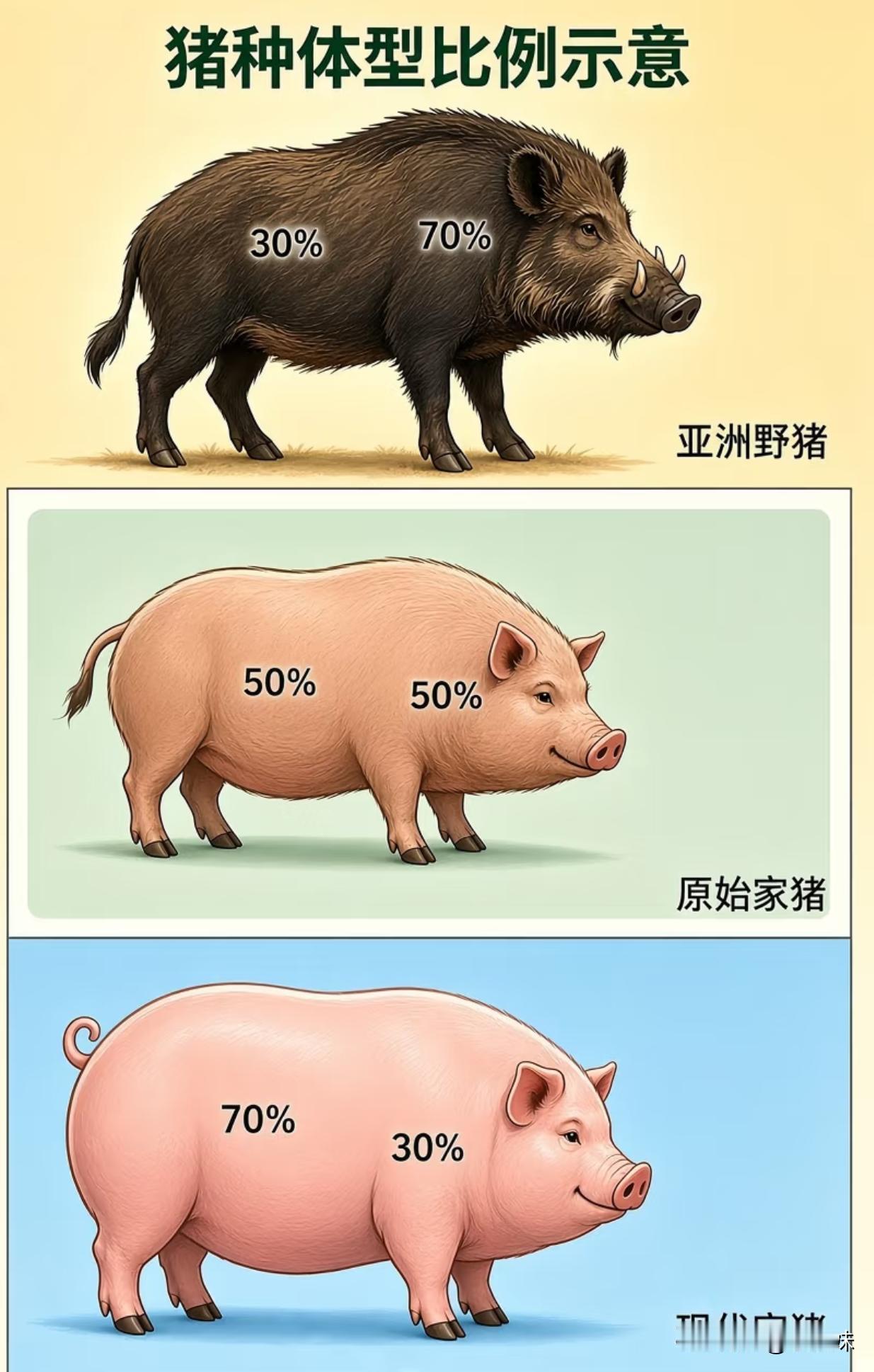 为什么会驯化成这种？