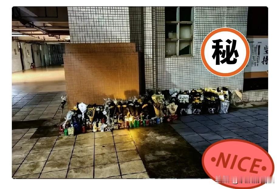 八年本博连读读到第七年，他从23楼跳了下去。父母车祸一死一伤，导师只批了三天假。