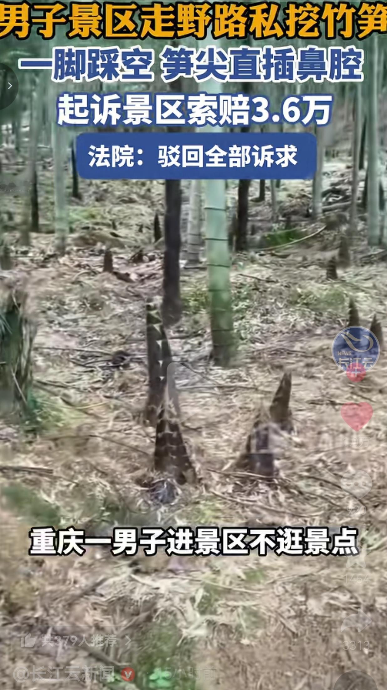 景区偷挖竹笋，自己踩空被笋尖戳穿鼻子，转头告景区索赔3.6万，法院判了！这