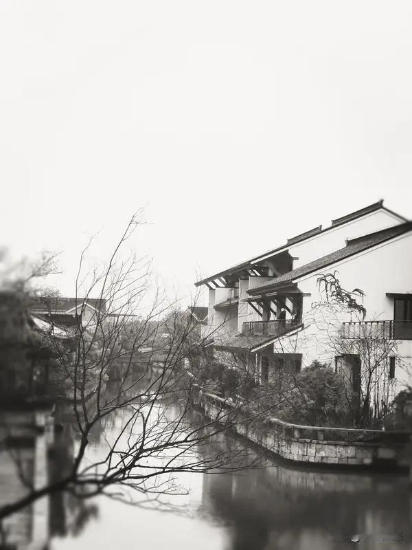 今年春天最想实现的心愿今年春天，我最想实现的心愿就是去一趟江南小镇。想象着漫步