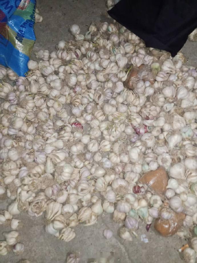 据媒体报道，尼日利亚军方宣布昨晚在博尔诺州丹博阿附近击毙了21名极端组织I