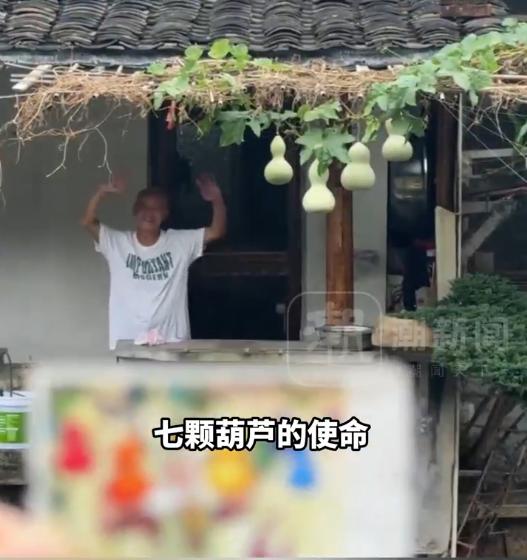 意外收获温暖，藏不住了！9月3日潮新闻报道，浙江绍兴75岁的陈金敖老人栽种的七