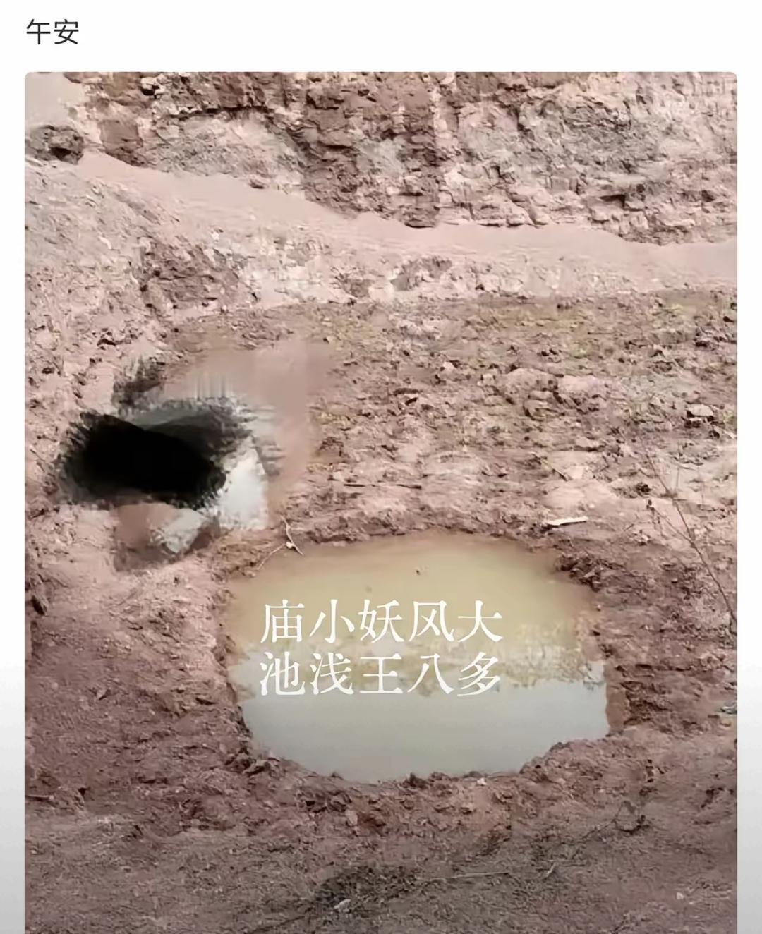 《亚洲周刊》这波操作，简直是把“无声胜有声”玩到了极致！明明没法明着聊那些敏感话