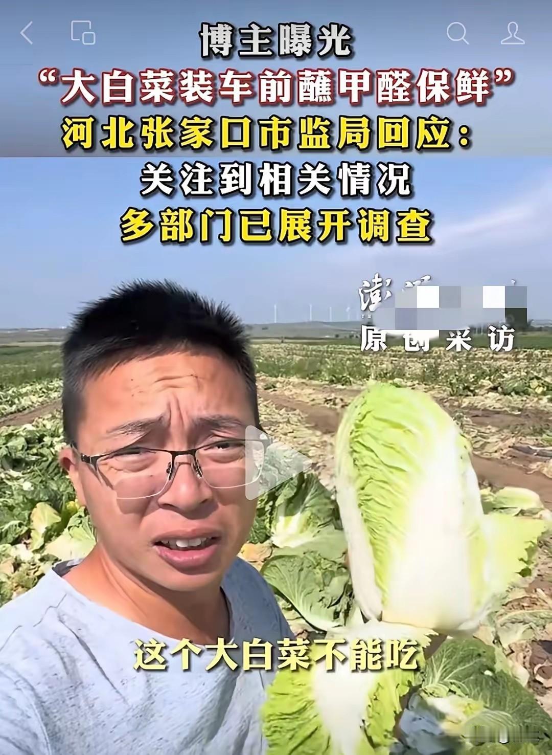 刚刚跟妈妈说，大白菜不能吃了。她以为我是骗她，于是我拿起手机过去给她看关于白菜蘸