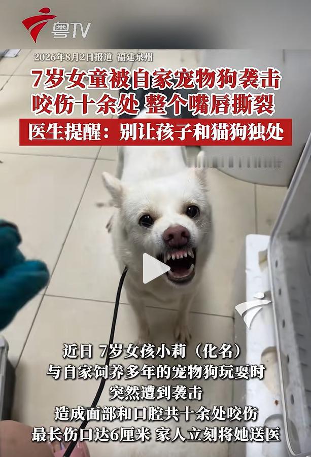 福建泉州当地一名化名小莉的女童，在家中与饲养多年的宠物犬相处时，狗狗疑似因情绪妒