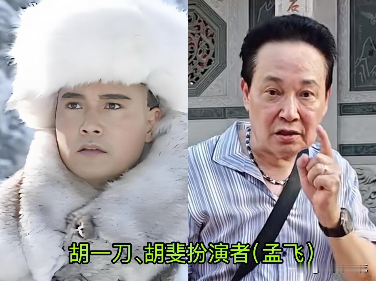你还记得小时候追的《雪山飞狐》不？那时候看孟飞演的胡一刀、胡斐，还有龚慈恩、伍宇
