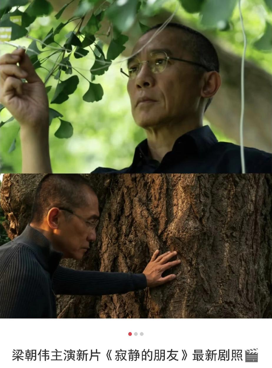 人老了以后真的会越来越相似，就好像婴儿都是差不多的样子，就连影帝梁朝伟也不例外