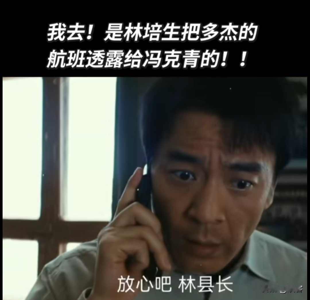 生命树：揭秘！林培生被一块金子收买，他提供航班信息，害死多杰，现在又害白及倾家荡