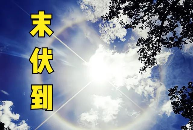 明日入末伏不一般，有1个坏消息，3个好消息，早了解早做准备明日进入末伏，今年