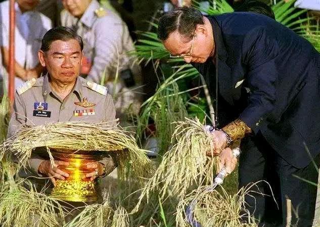 老国王下地收割稻谷，诗丽吉王后跟随。泰王扫地诗妮娜也扫地，都是夫唱妇随的画面。