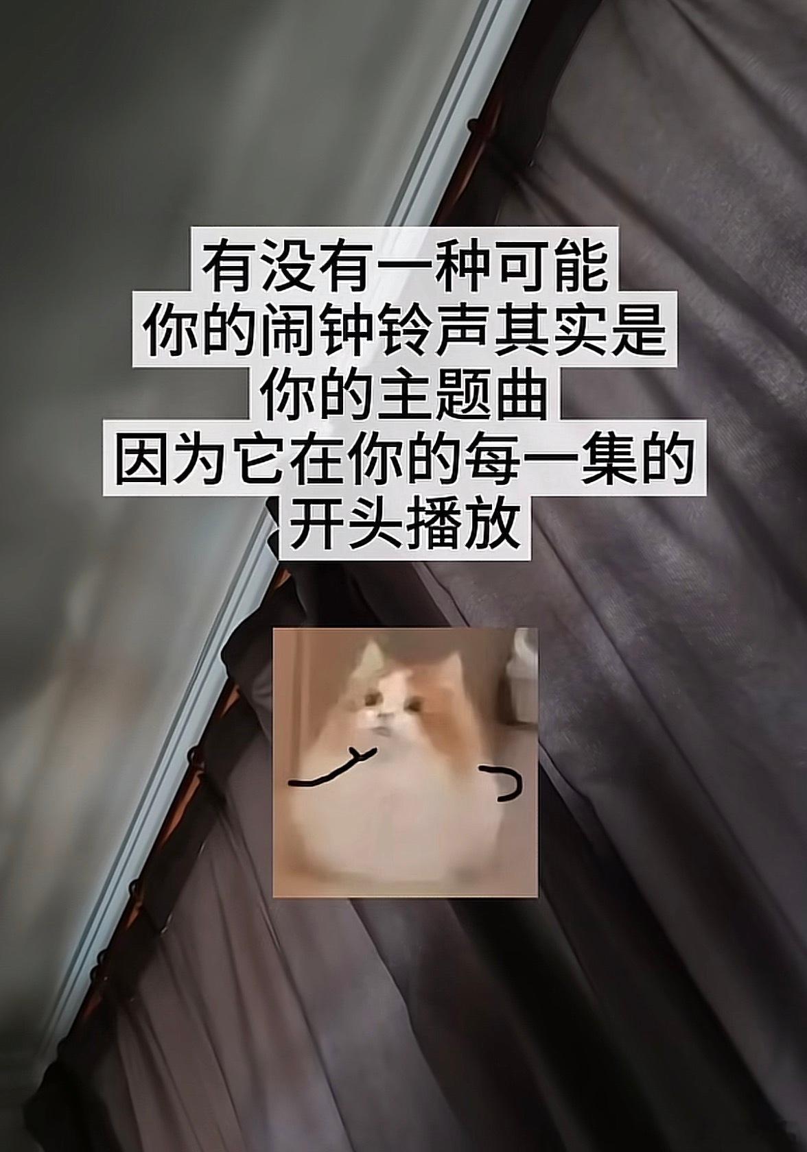 卧槽天才，你的闹钟铃声其实是你的主题曲！我立刻去换铃声！