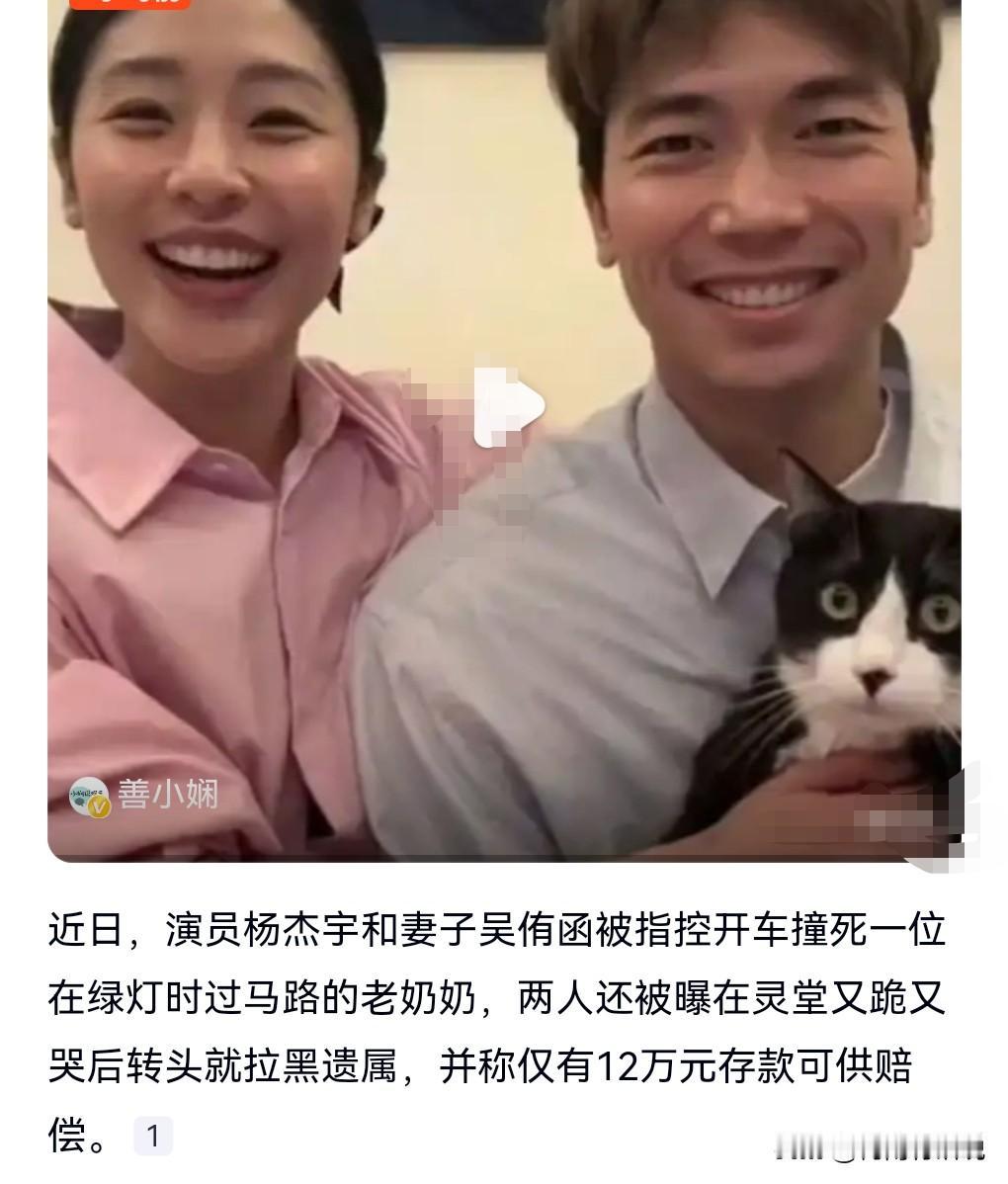 这难道不用负刑责吗？这我真是搞不懂了，他们撞死的可是一个按绿灯正常行走的老太太呀