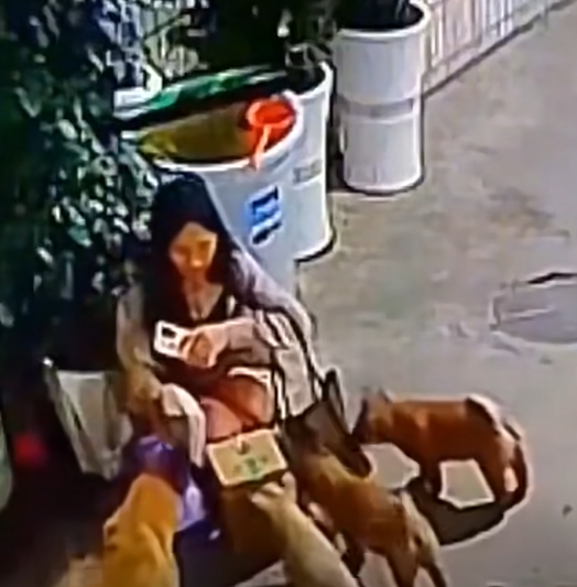 不是说喜欢小奶狗吗?怎么来了就不爱了