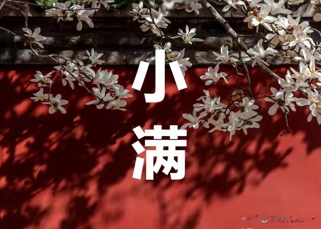今日小满，记得：1不动、2不躺、3不开、4不洗、5不吃，别大意今天是小满，