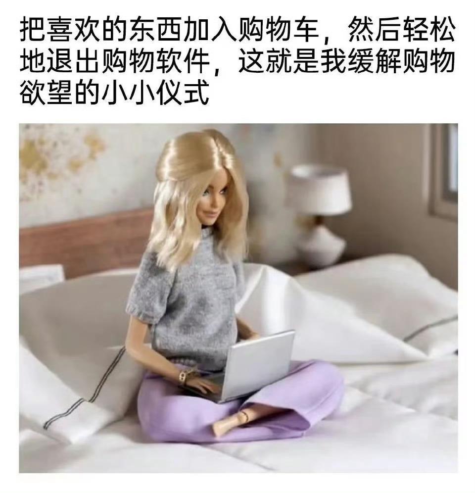 我的购物车比聊天记录还真实仪式感