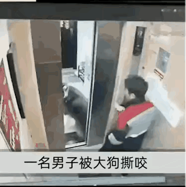 一名男子在电梯里，这时电梯门开了，一条大狗出现在电梯门口，大狗看了看男子后走进了