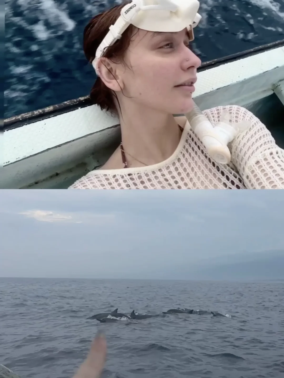 🐎第一站｜巴厘岛5点追海豚，80块钱也太香了