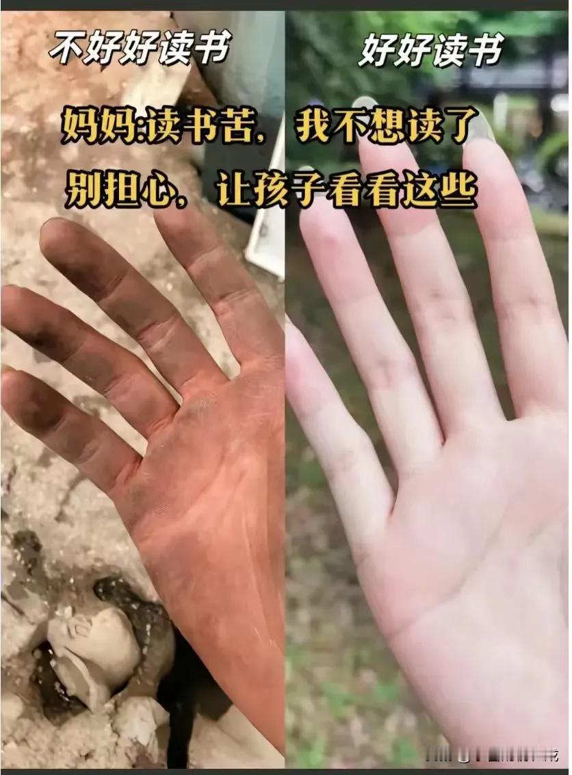 终于知道如何说服不想读书的孩子了，直接把这几张图片放给他看就能镇住他了，自己想一