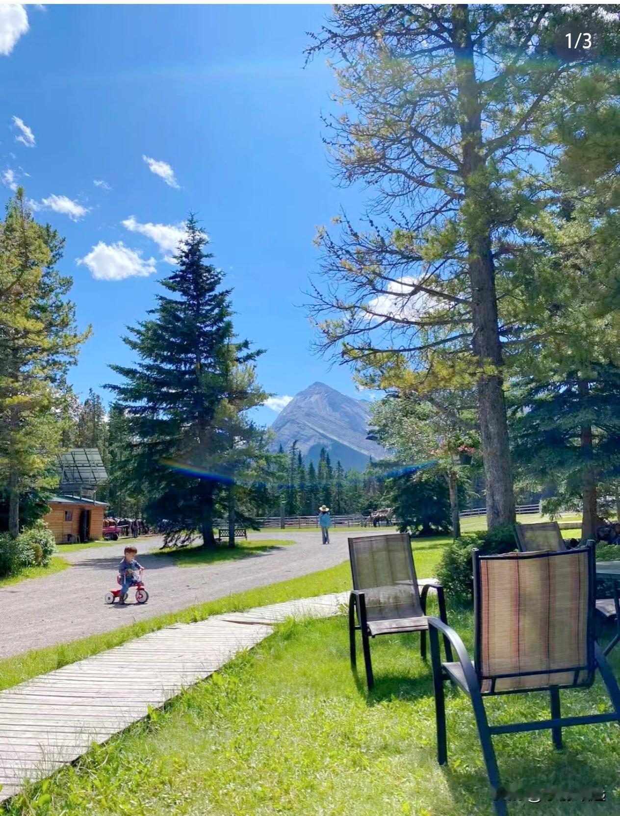 脑袋让驴踢了，竟然还有这样的认知！加媒敲警钟：真正的威胁不是东方大