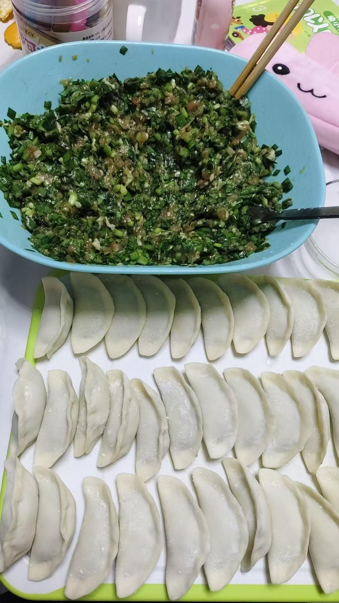 星期天，窗外淅淅沥沥地下着雨。我决定包韭菜肉馅饺子。首先，准备好食材。新鲜的韭