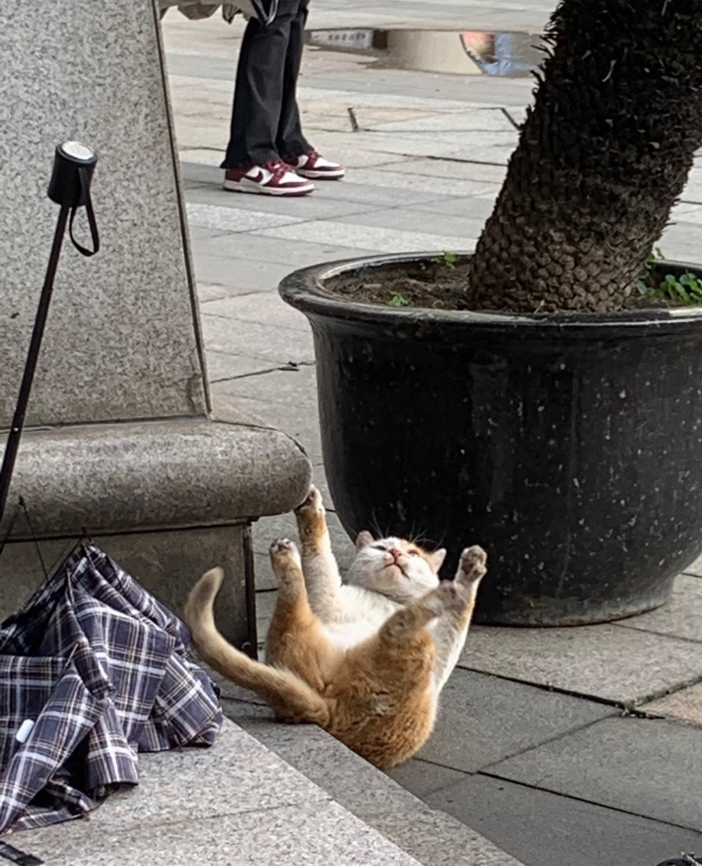 今天过的开心吗？