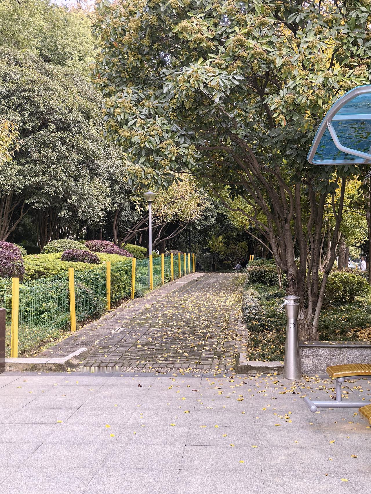 一大早办公室里吵得不可开交，原来是昨天下午才办好入职的保洁阿姨，今早经理叫她别来