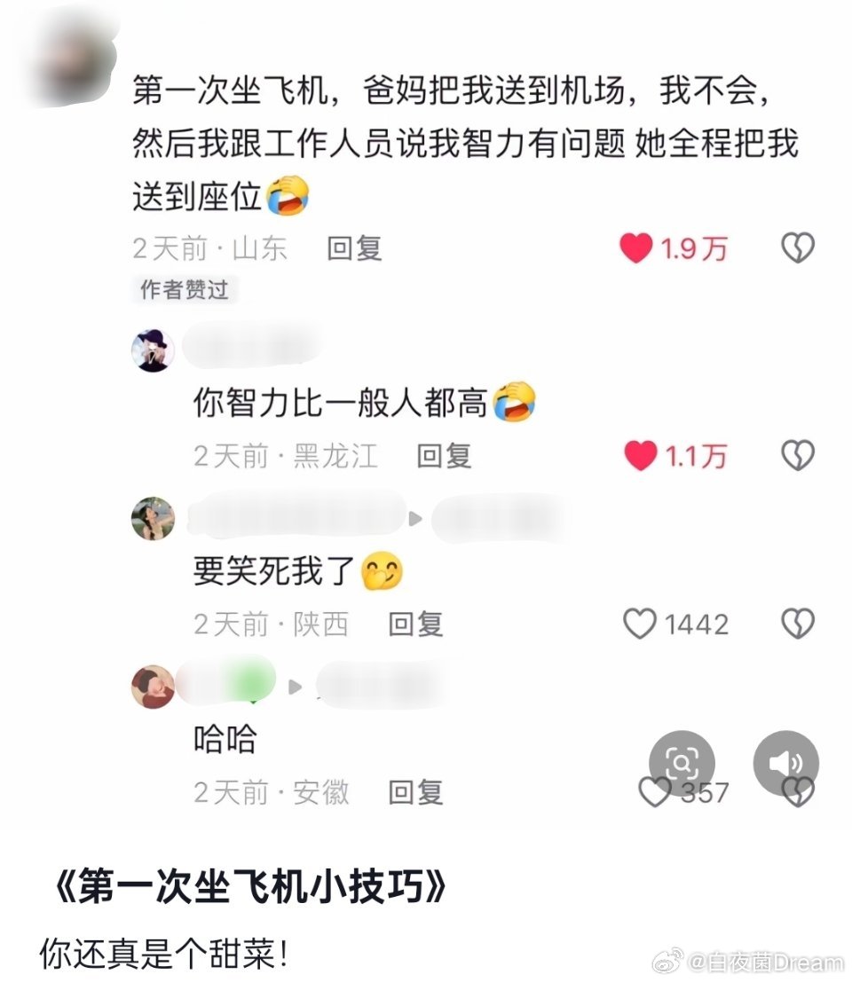 第一次坐飞机说自己智力有问题