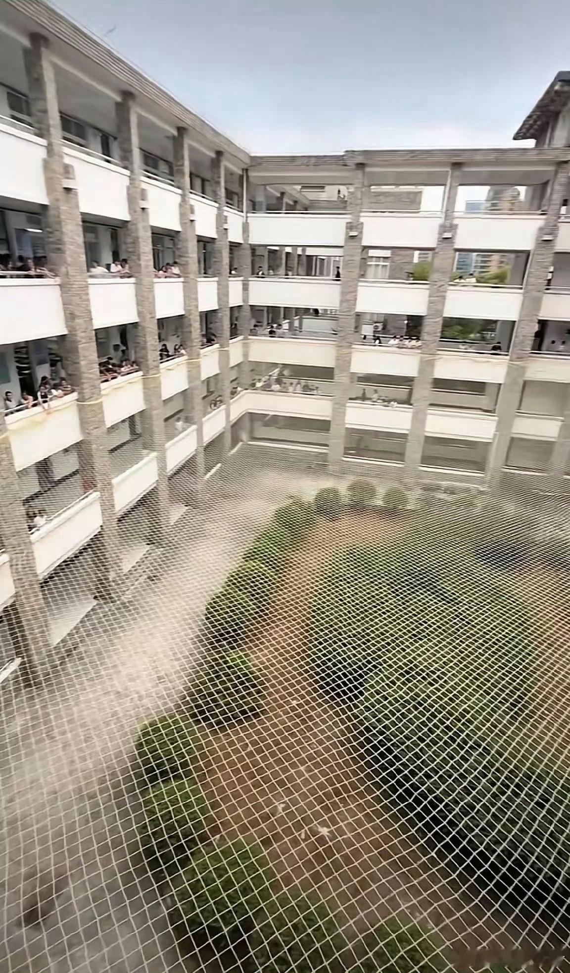 学校看到的一幕！你悟到了什么吗？