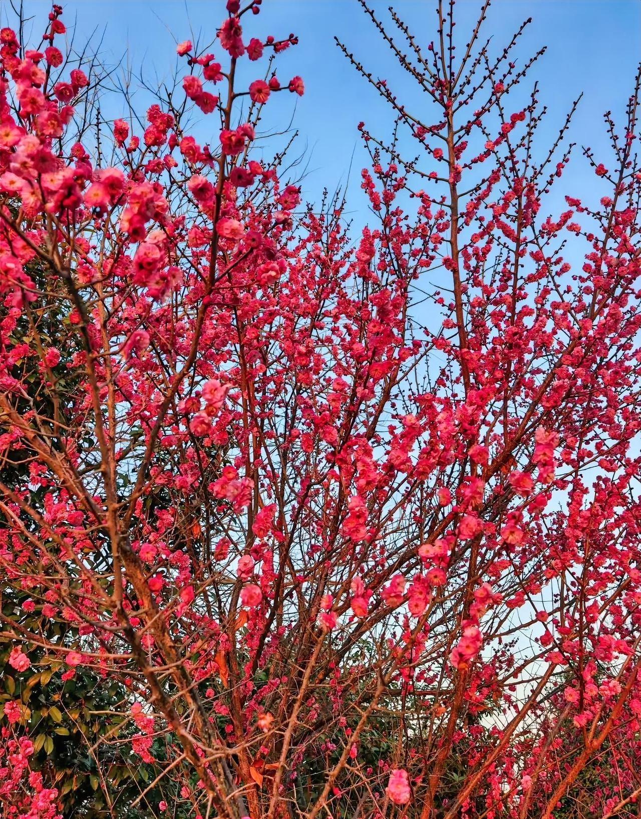 别再被“岁月静好”的滤镜骗了！比起掉牙和白发，衰老最让人绝望的，根本不是视觉上的