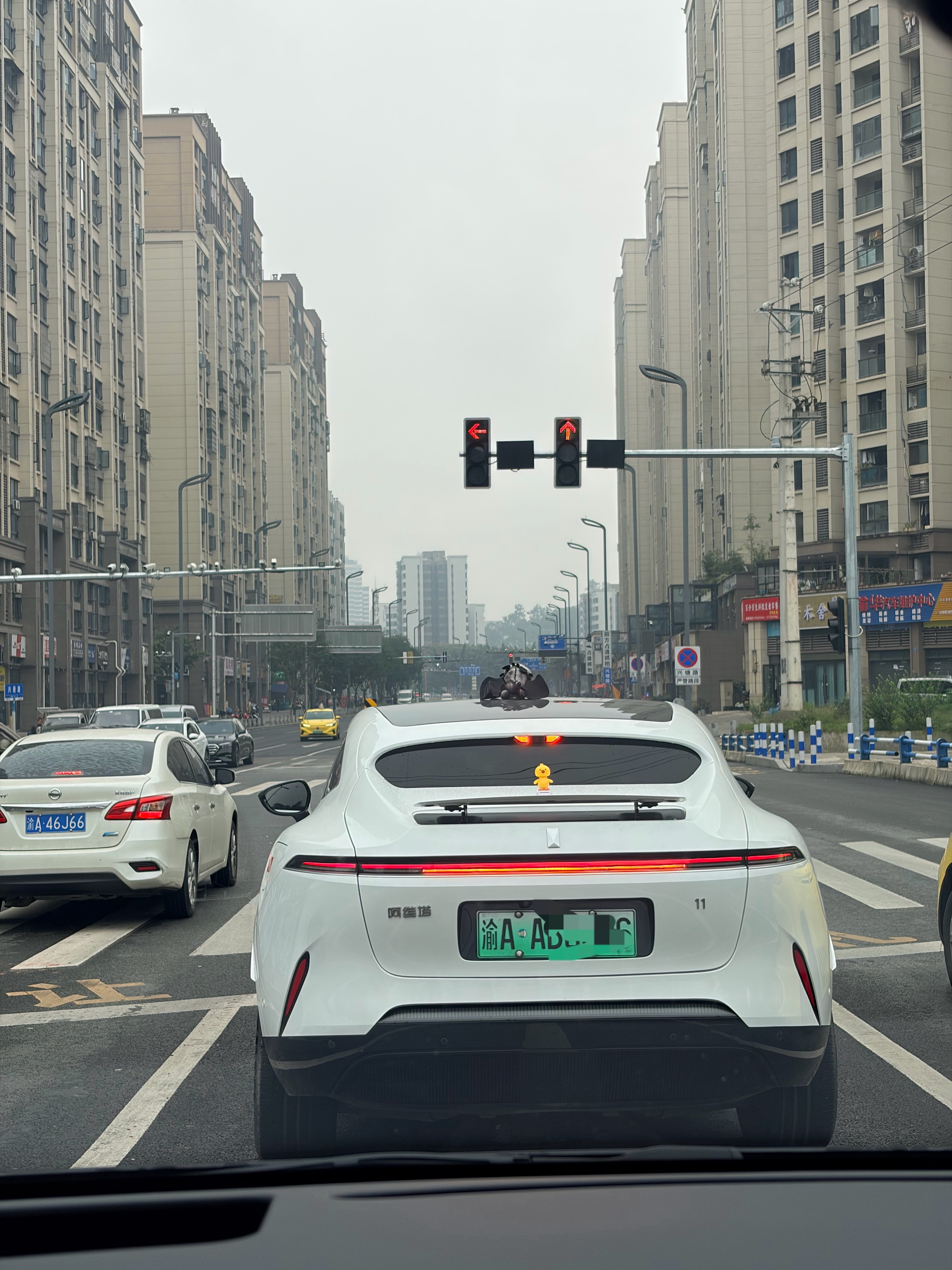 这头上顶的是个啥。